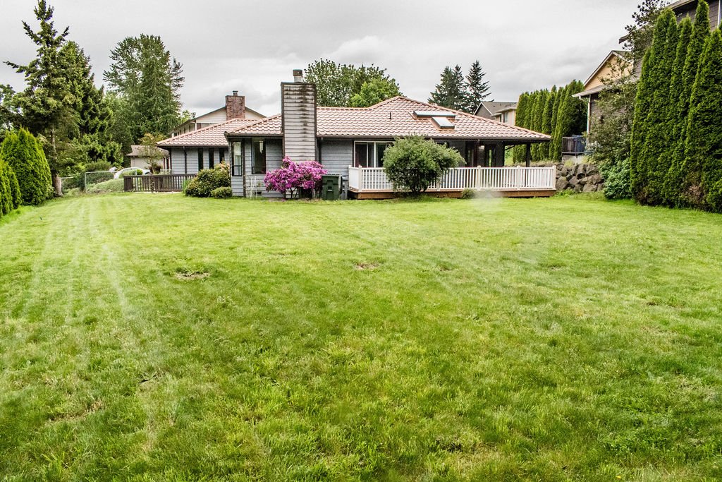Kent Gardens backyard and lawn